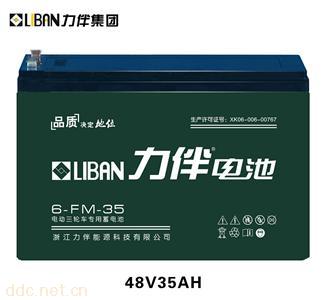  电动车专用电池6-FM-35
